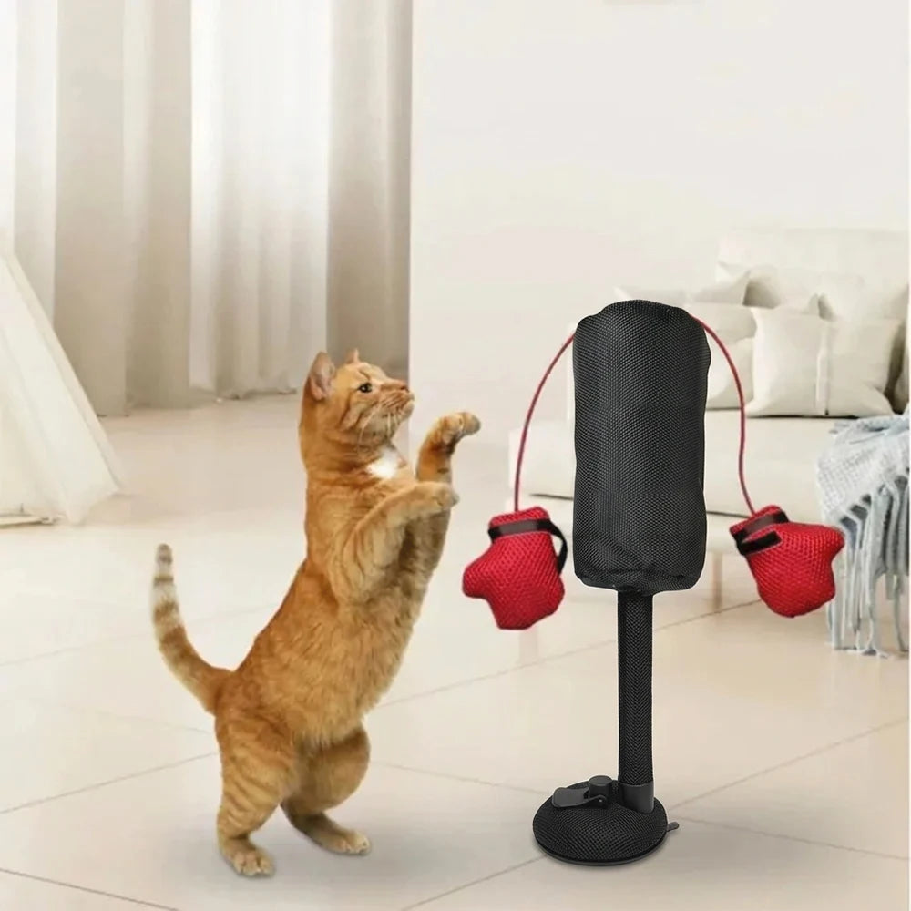Cat Punching Bag Toy